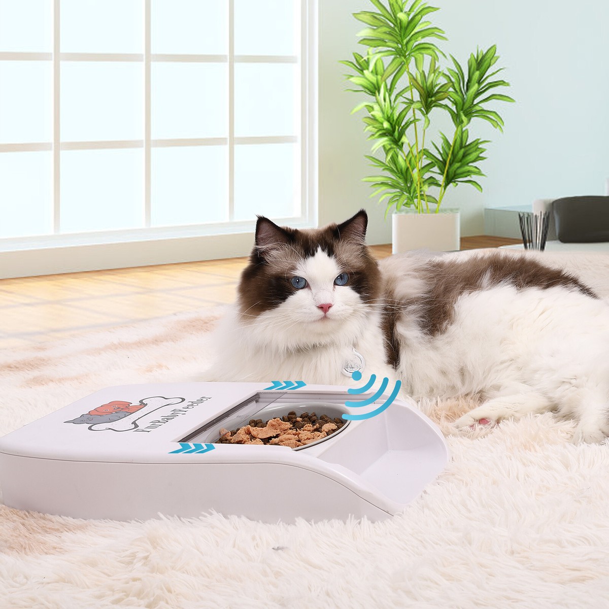 An application scenario or product detail of cat food bowl that opens with collar - Image 5