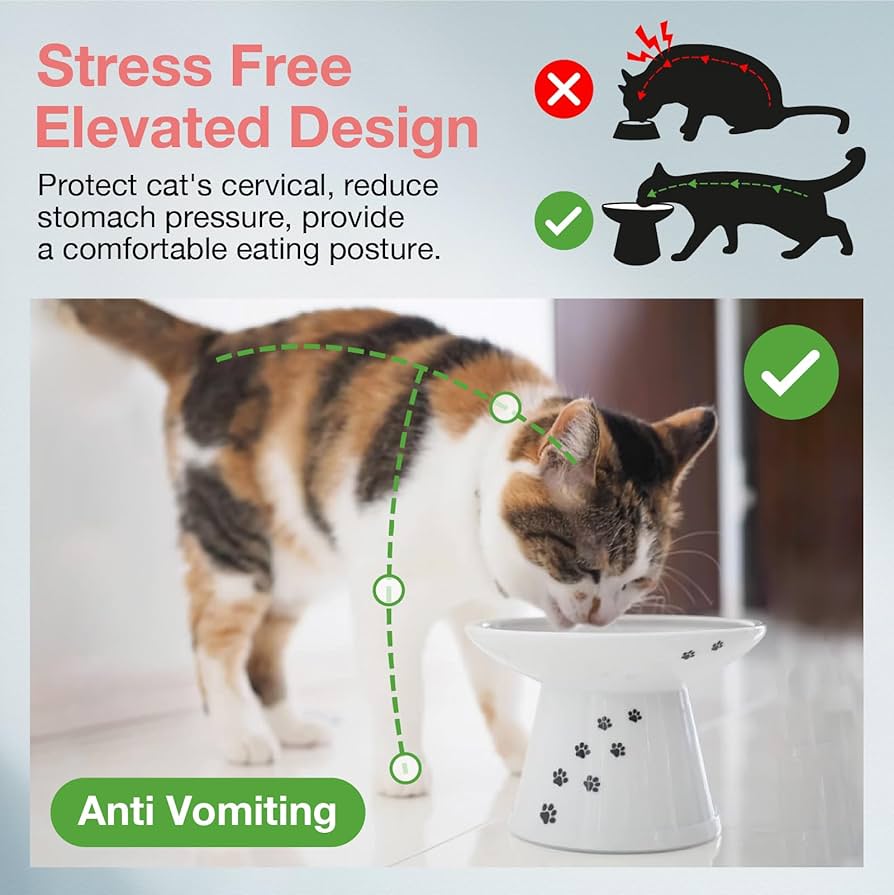 An application scenario or product detail of cat food bowl that opens with collar - Image 7