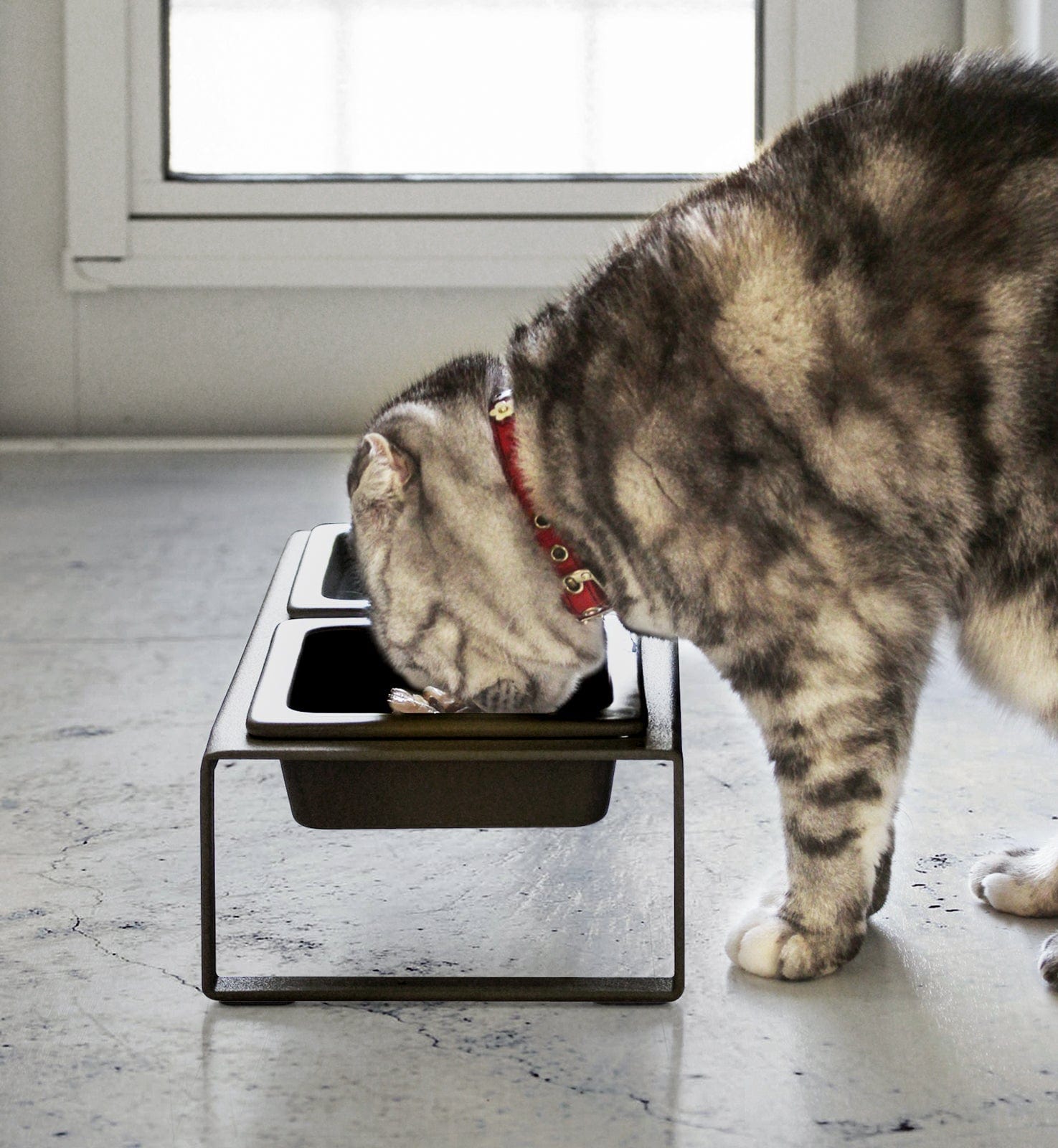 An application scenario or product detail of cat food bowl that opens with collar - Image 20