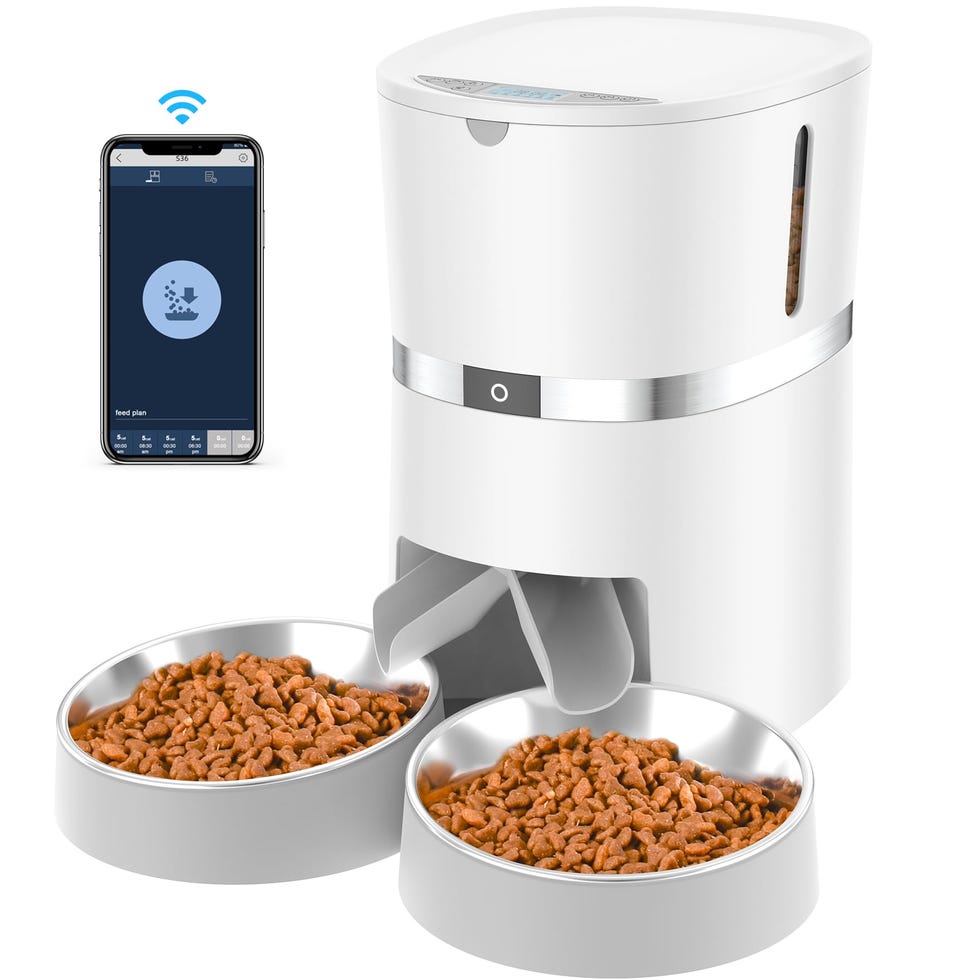 An application scenario or product detail of cat food feeder automatic - Image 5