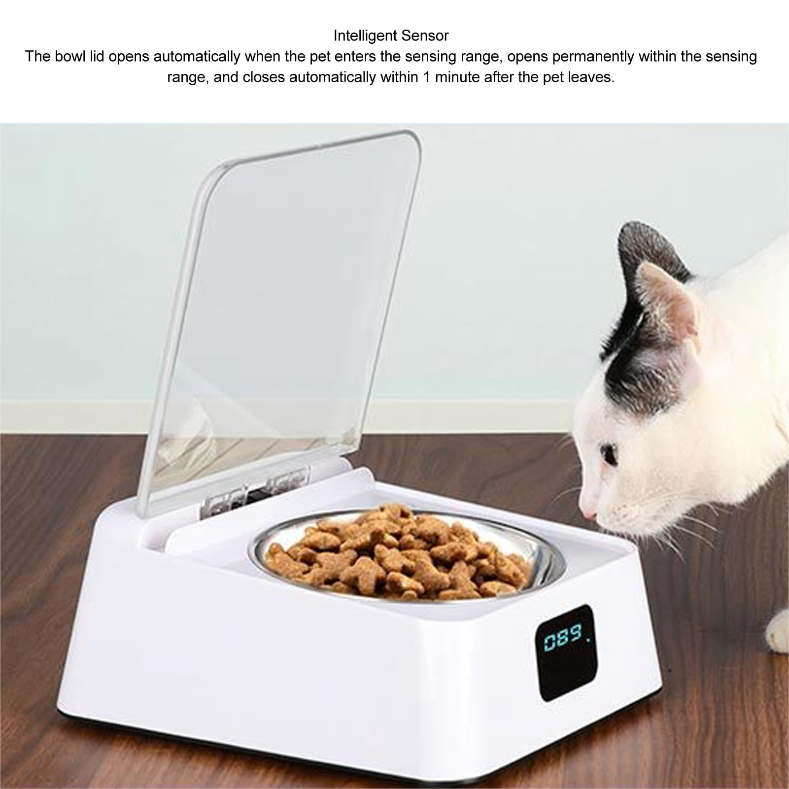 An application scenario or product detail of cat food feeder automatic - Image 6
