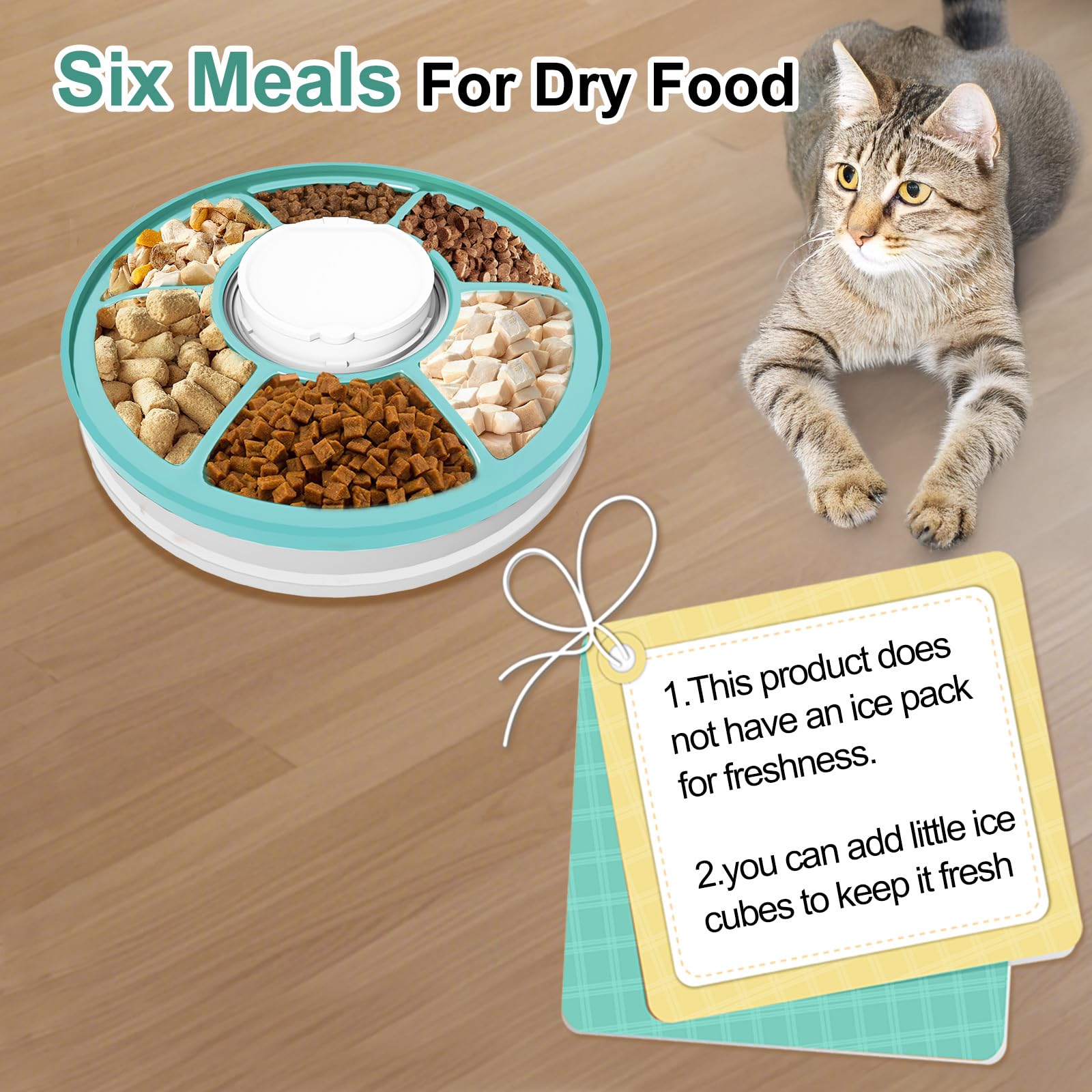 An application scenario or product detail of cat food timed feeder - Image 10