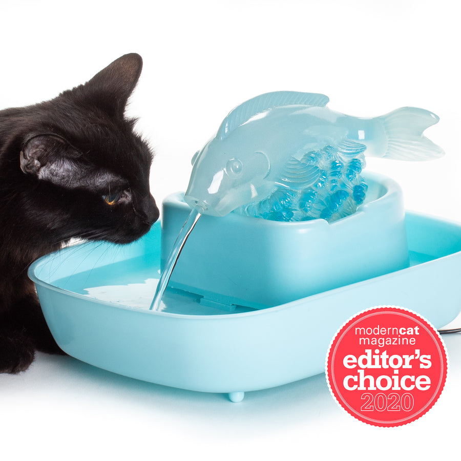 An application scenario or product detail of cat fountain water dish - Image 19