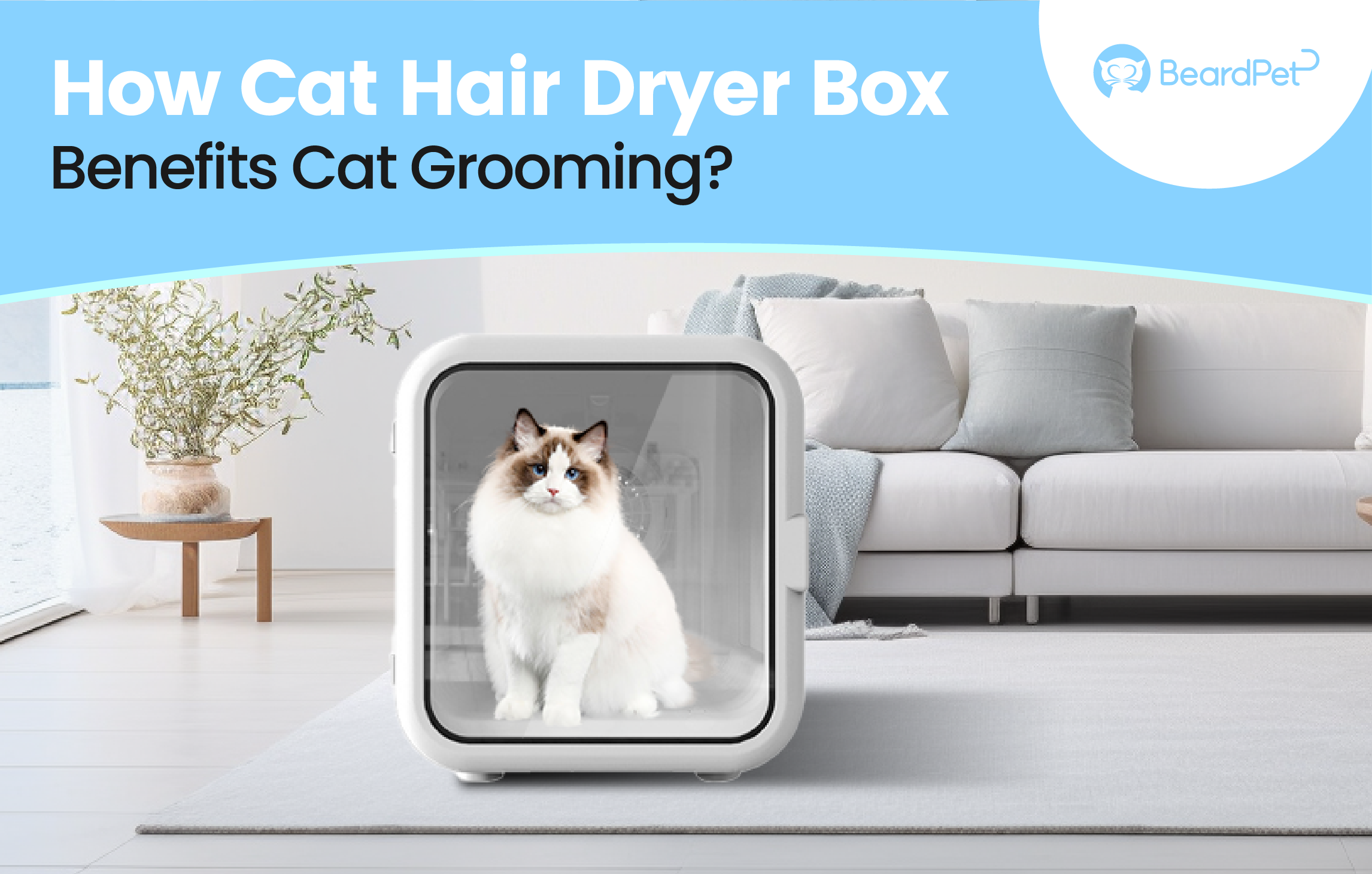 An application scenario or product detail of cat hair dryer box - Image 10