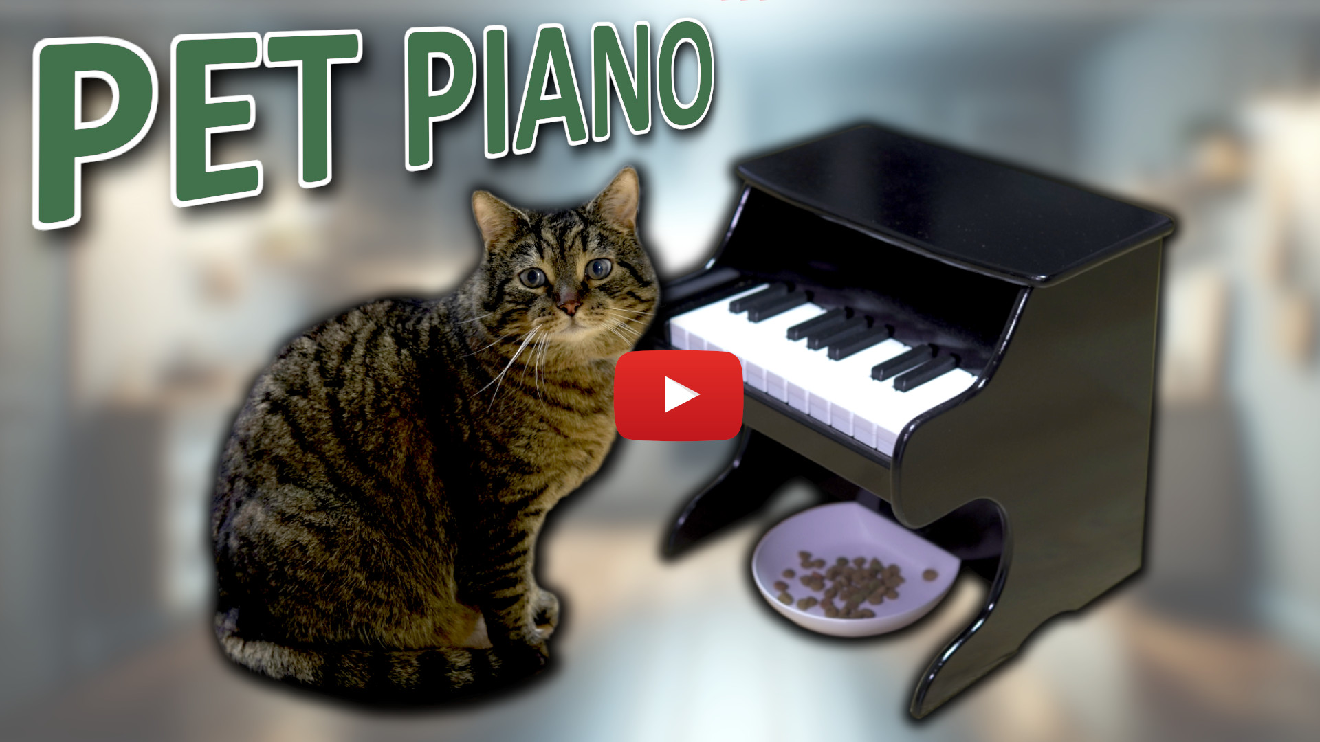 An application scenario or product detail of cat piano feeder - Image 5