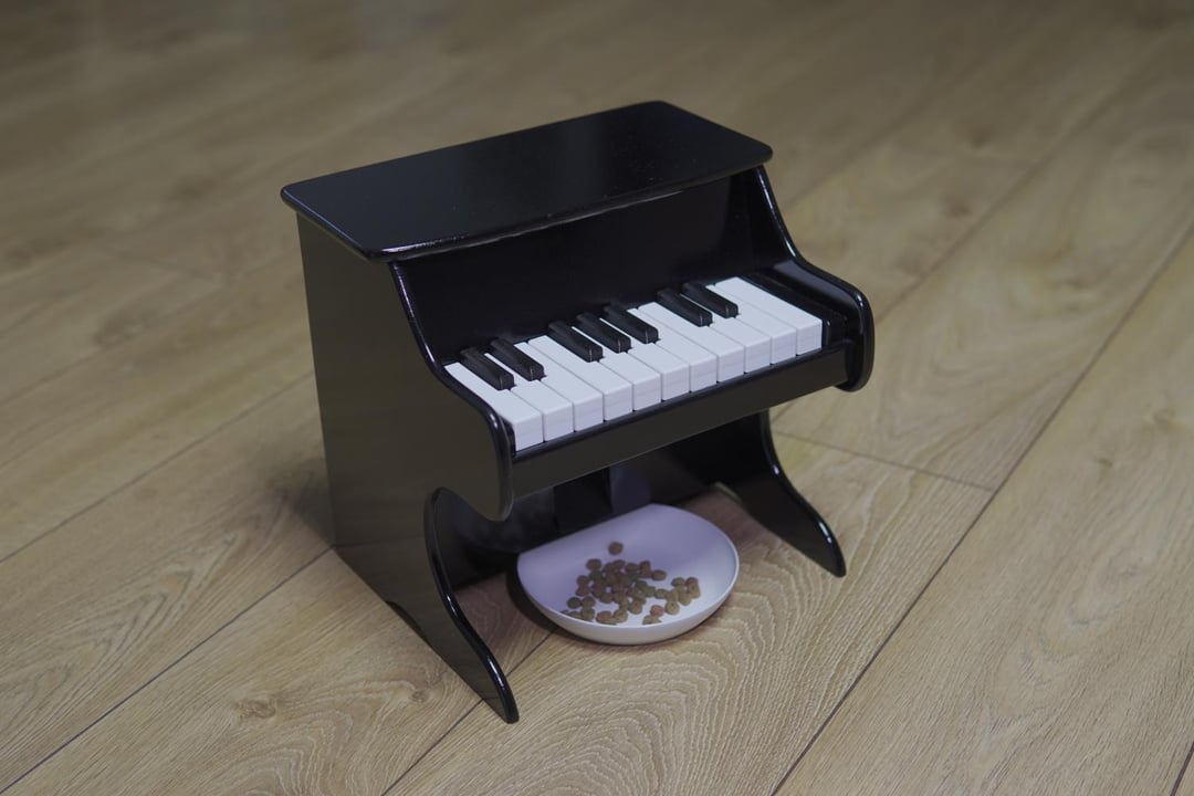 An application scenario or product detail of cat piano feeder - Image 8