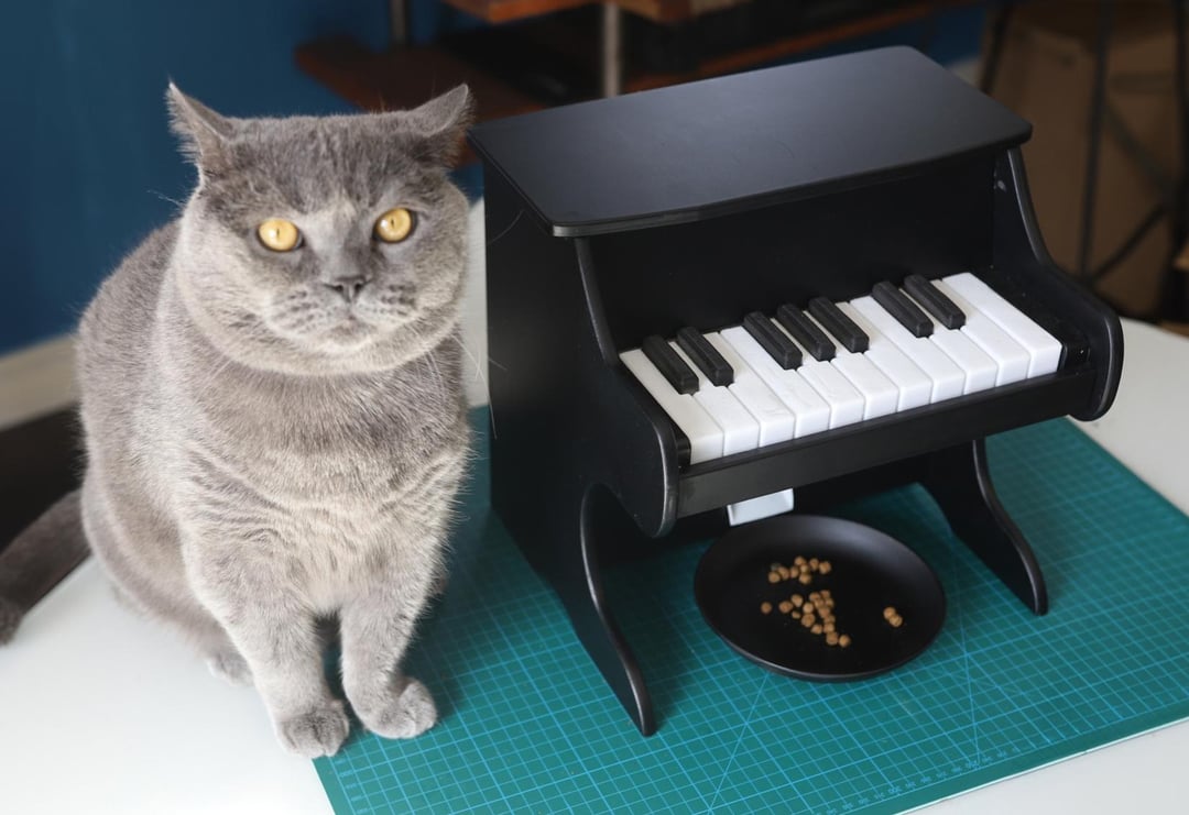 An application scenario or product detail of cat piano feeder - Image 13