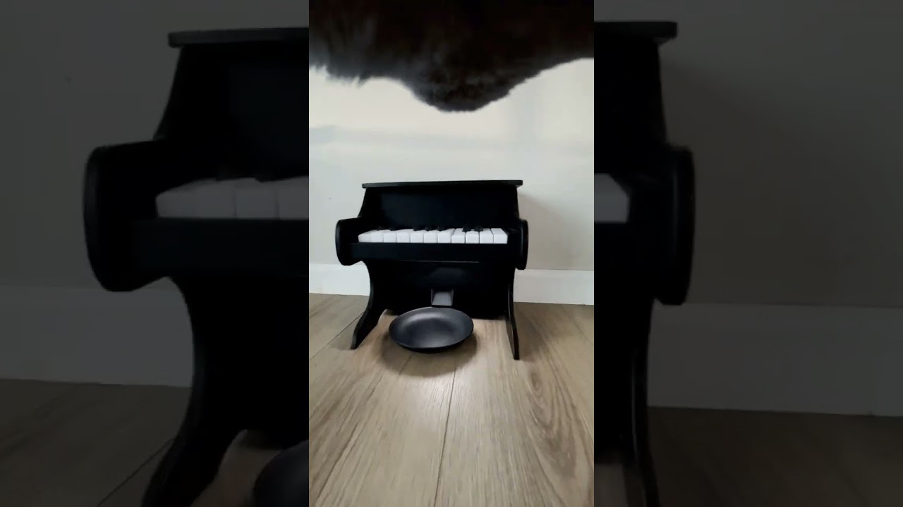 An application scenario or product detail of cat piano feeder - Image 21