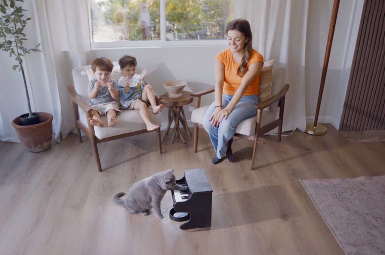 An application scenario or product detail of cat piano feeder - Image 22