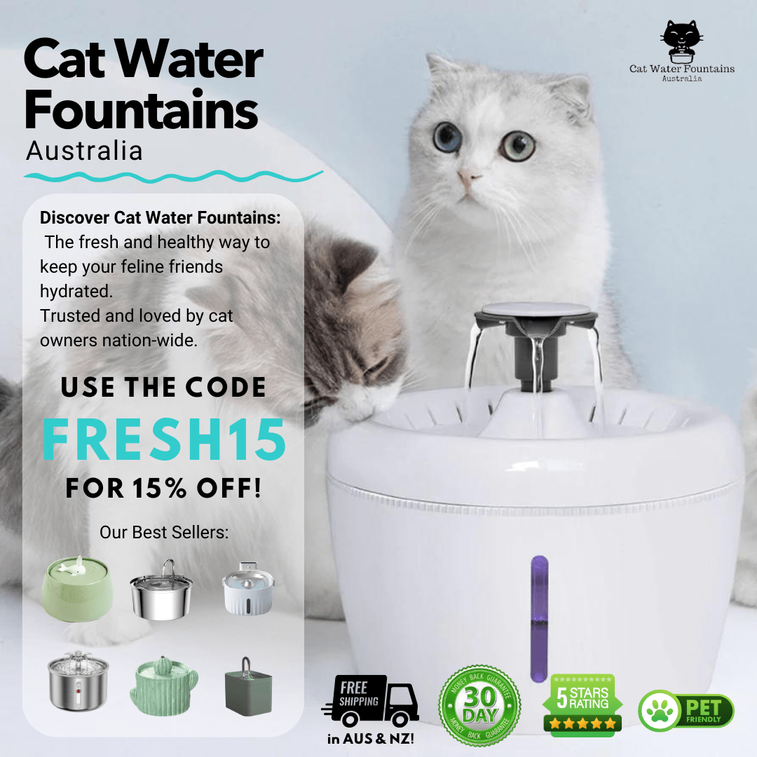 An application scenario or product detail of cat running water - Image 4