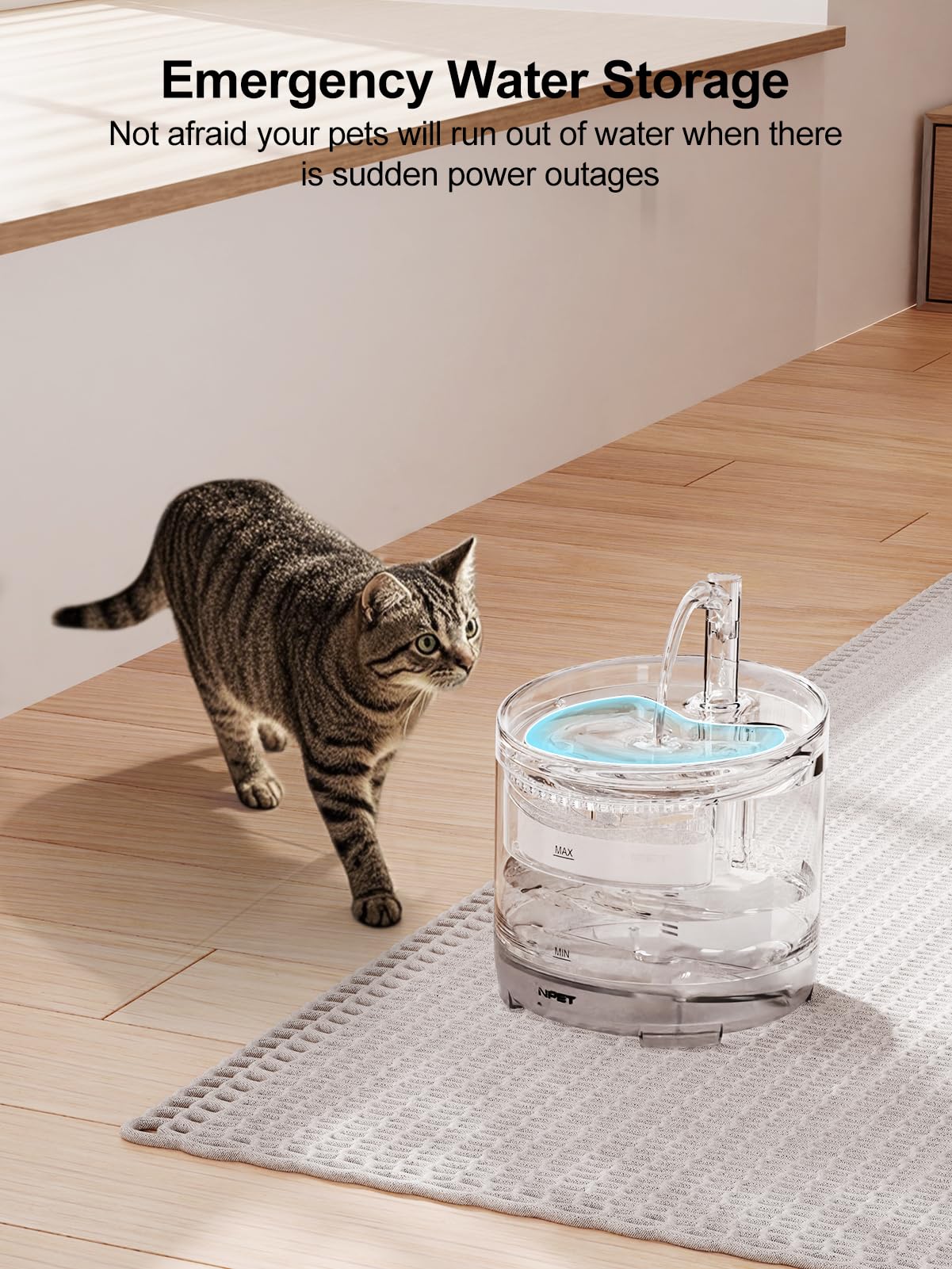 An application scenario or product detail of cat running water - Image 5