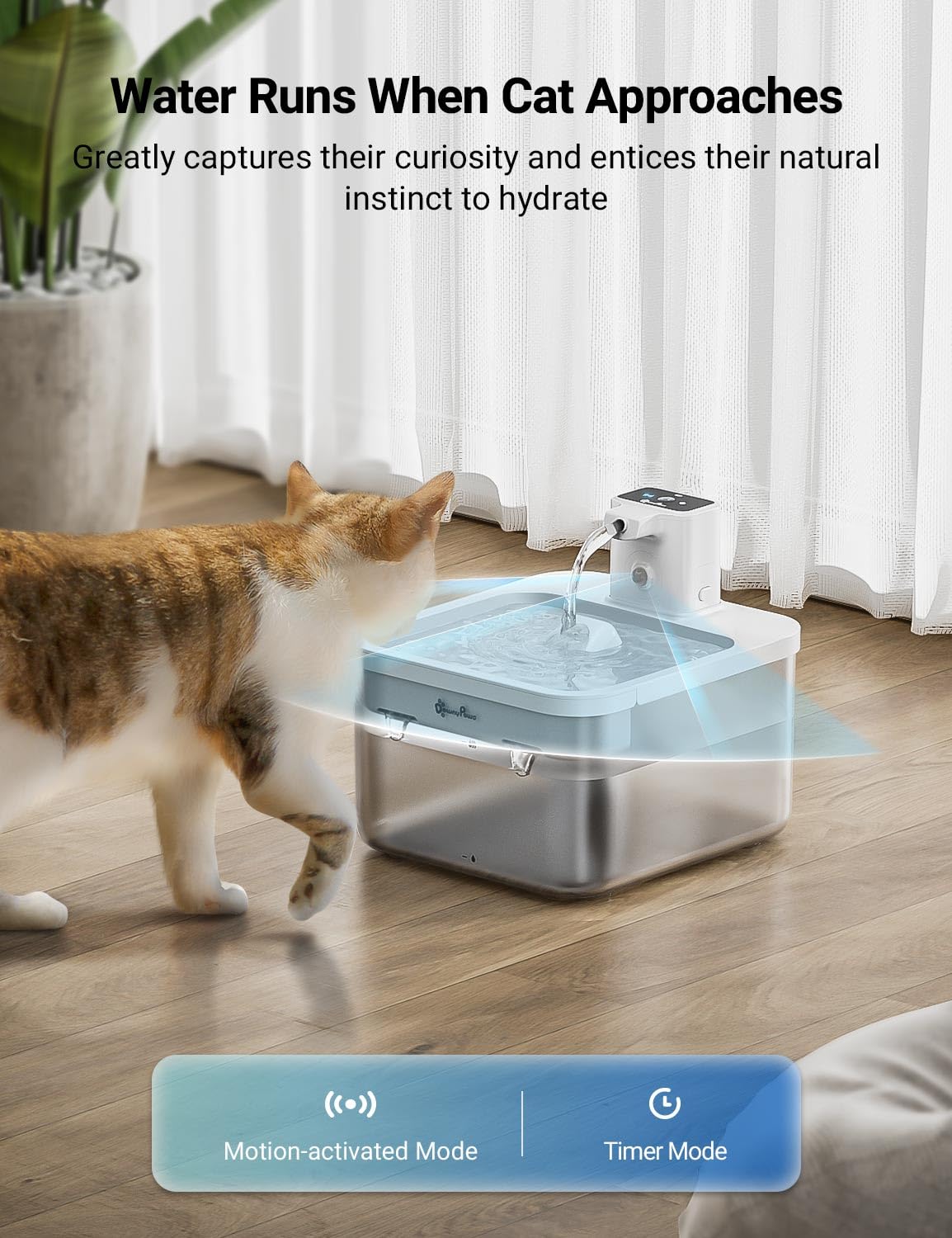 An application scenario or product detail of cat running water - Image 23