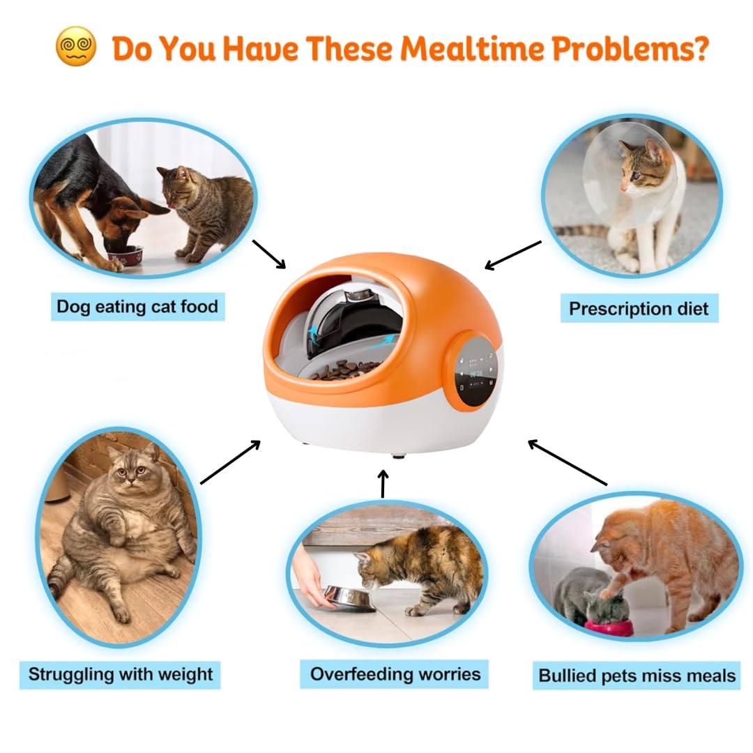 An application scenario or product detail of cat sensor feeder - Image 6