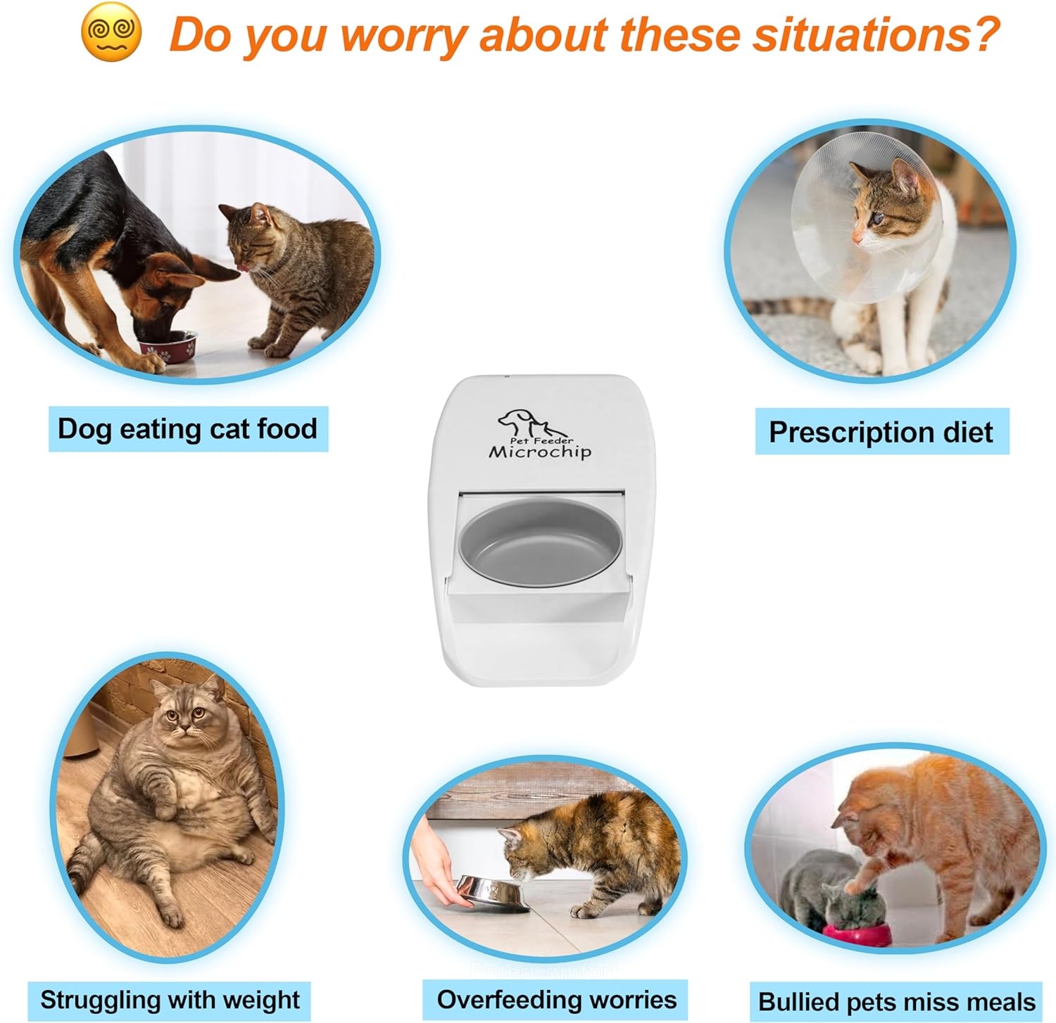 An application scenario or product detail of cat sensor feeder - Image 13