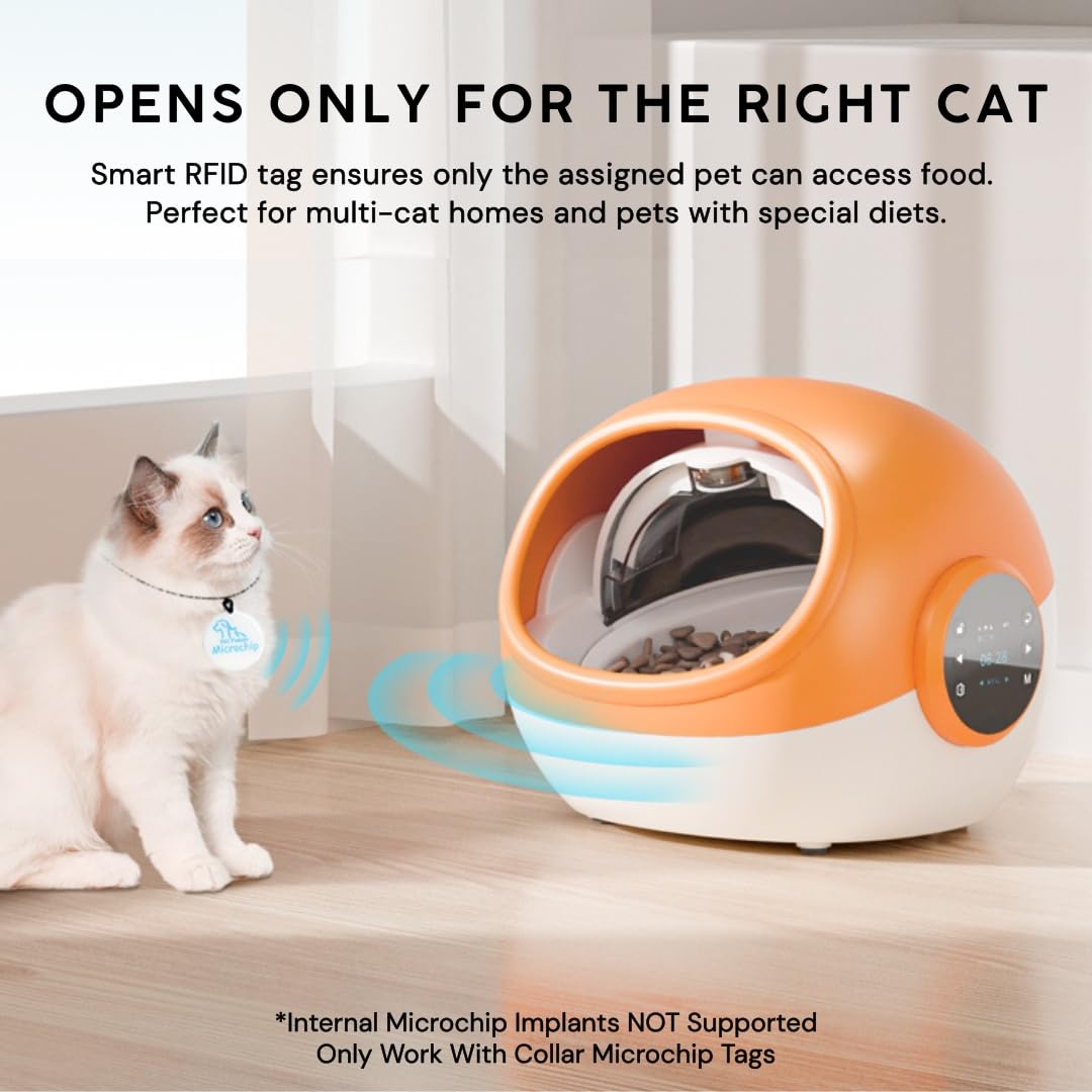 An application scenario or product detail of cat sensor feeder - Image 14