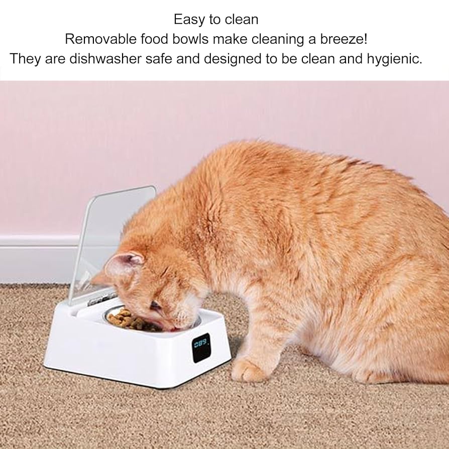 An application scenario or product detail of cat sensor feeder - Image 21