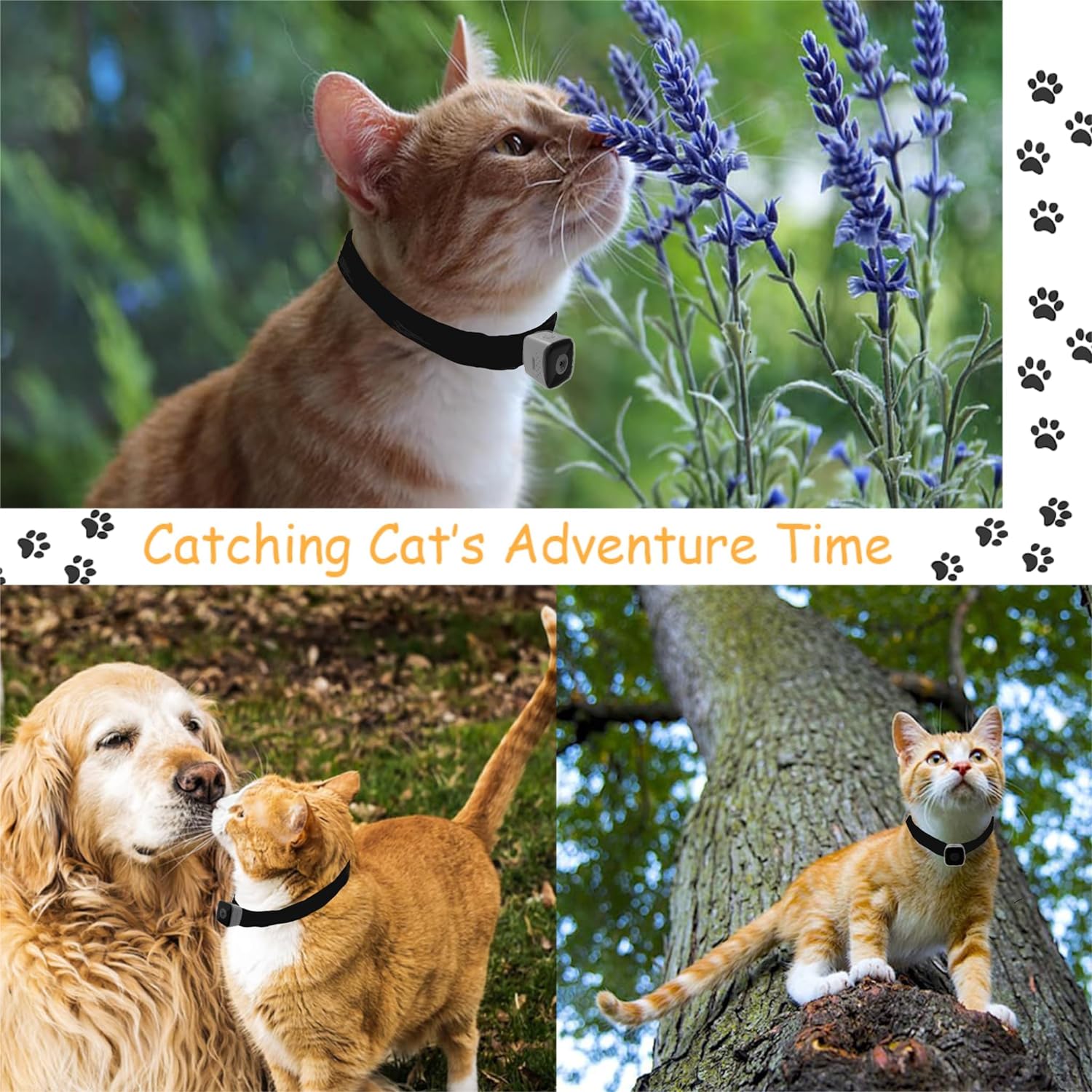 An application scenario or product detail of cat tracker camera - Image 4