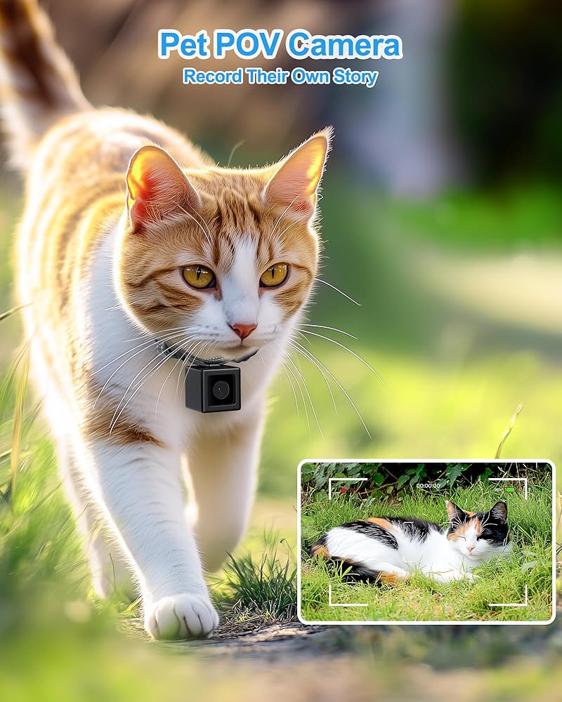 An application scenario or product detail of cat tracker camera - Image 11