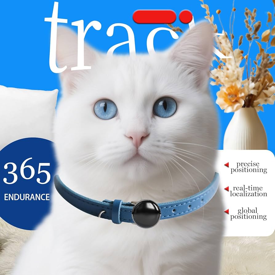 An application scenario or product detail of cat tracker no subscription - Image 16