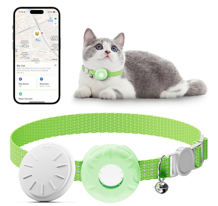 Featured image for the cat tracker no subscription guide