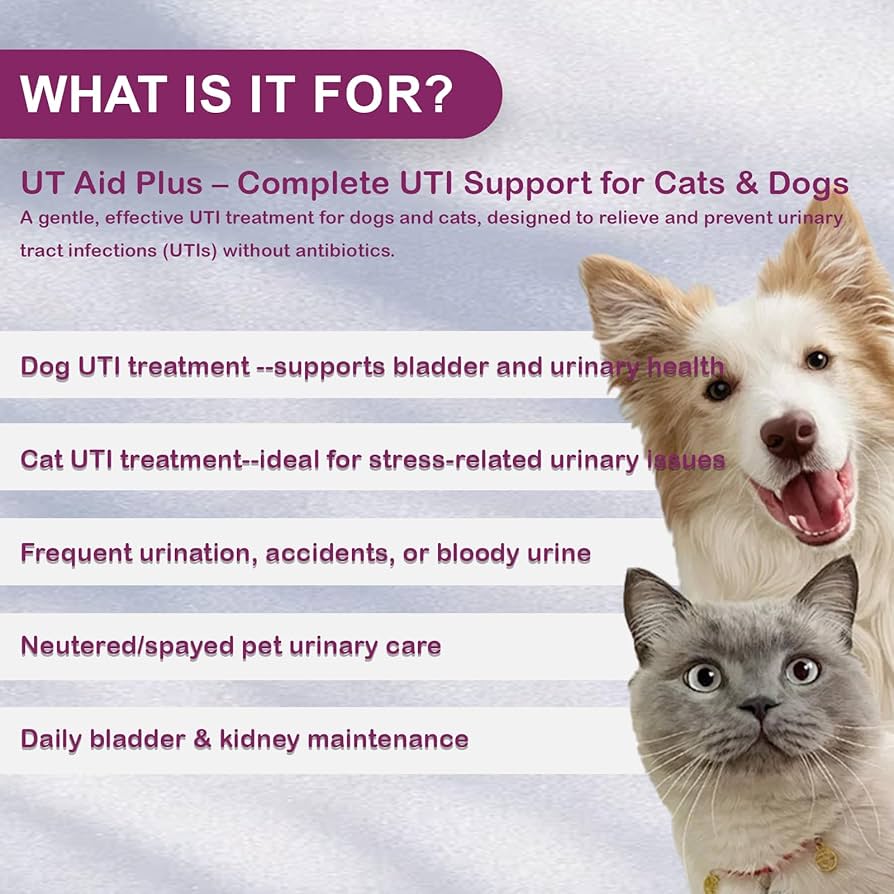 An application scenario or product detail of cat uti prevention - Image 17