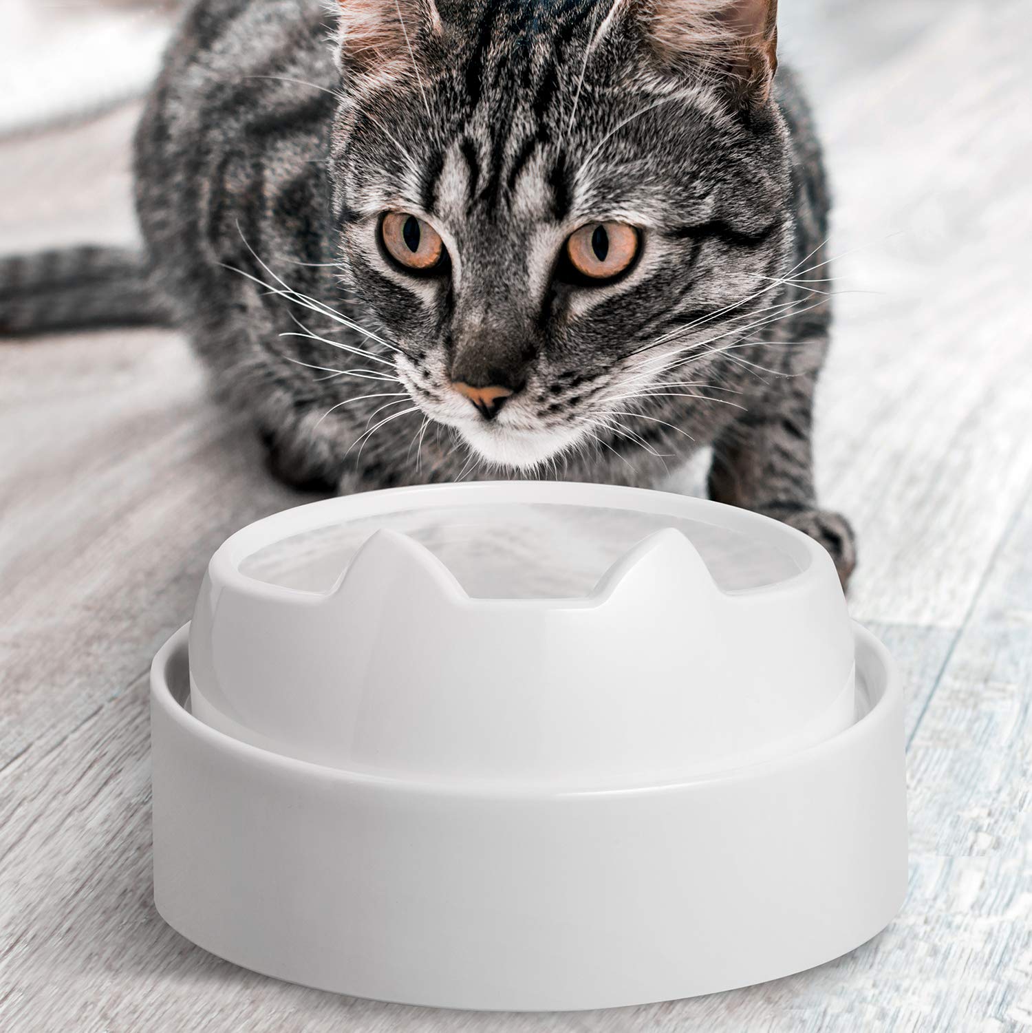 An application scenario or product detail of cat water bowl that can't be knocked over - Image 3