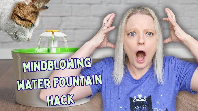 An application scenario or product detail of cat water bowl that can't be knocked over - Image 18