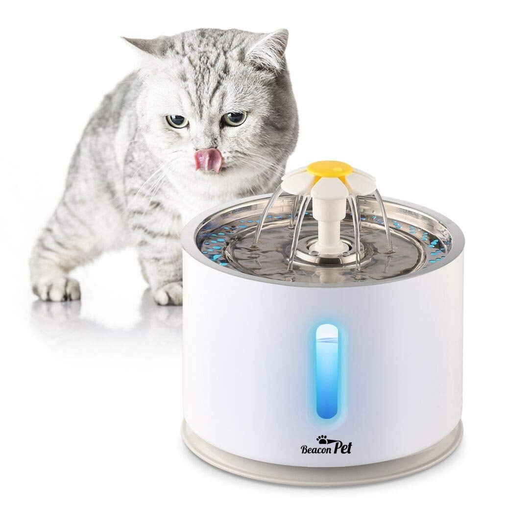 An application scenario or product detail of cat water bowl with filter - Image 6