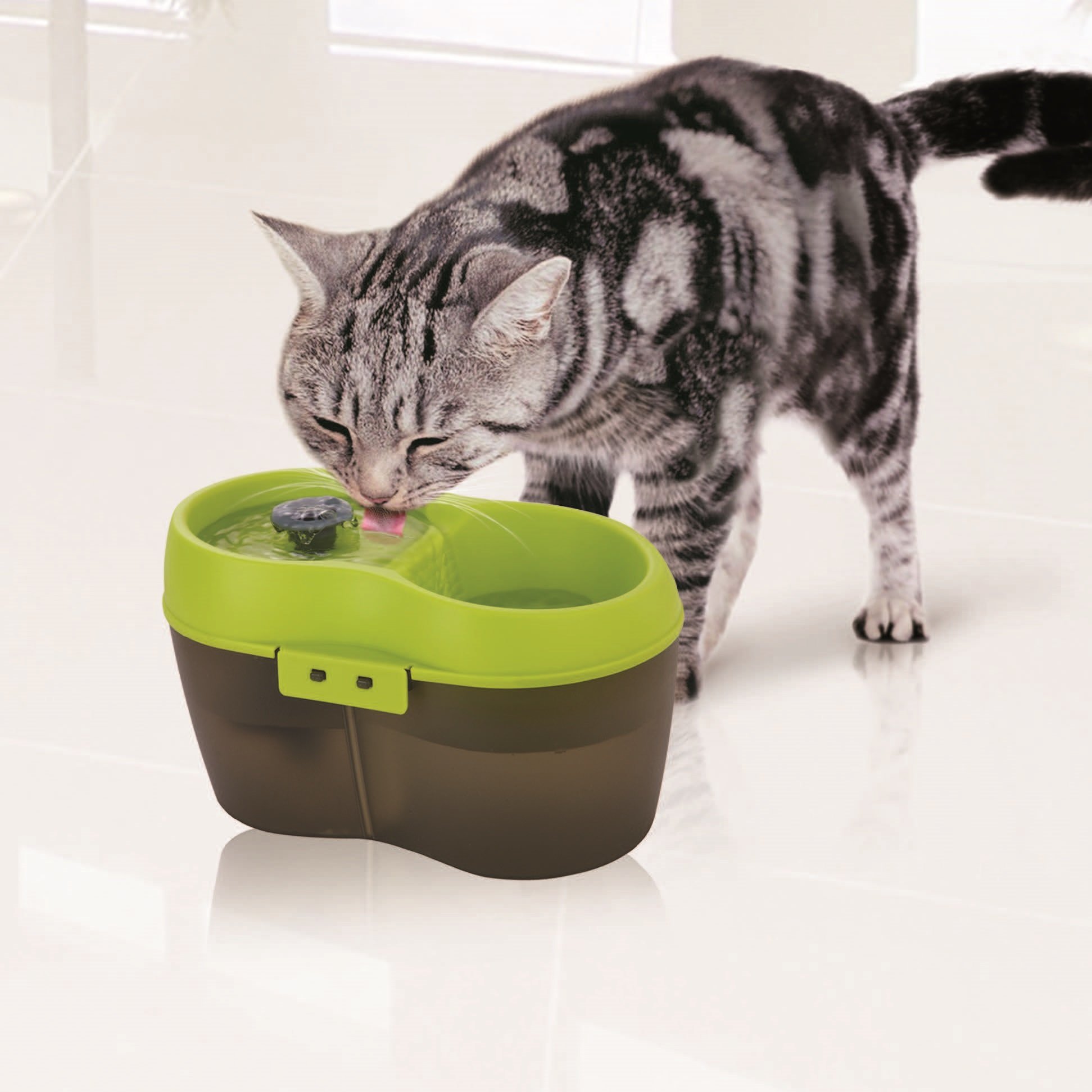 An application scenario or product detail of cat water bowl with filter - Image 8