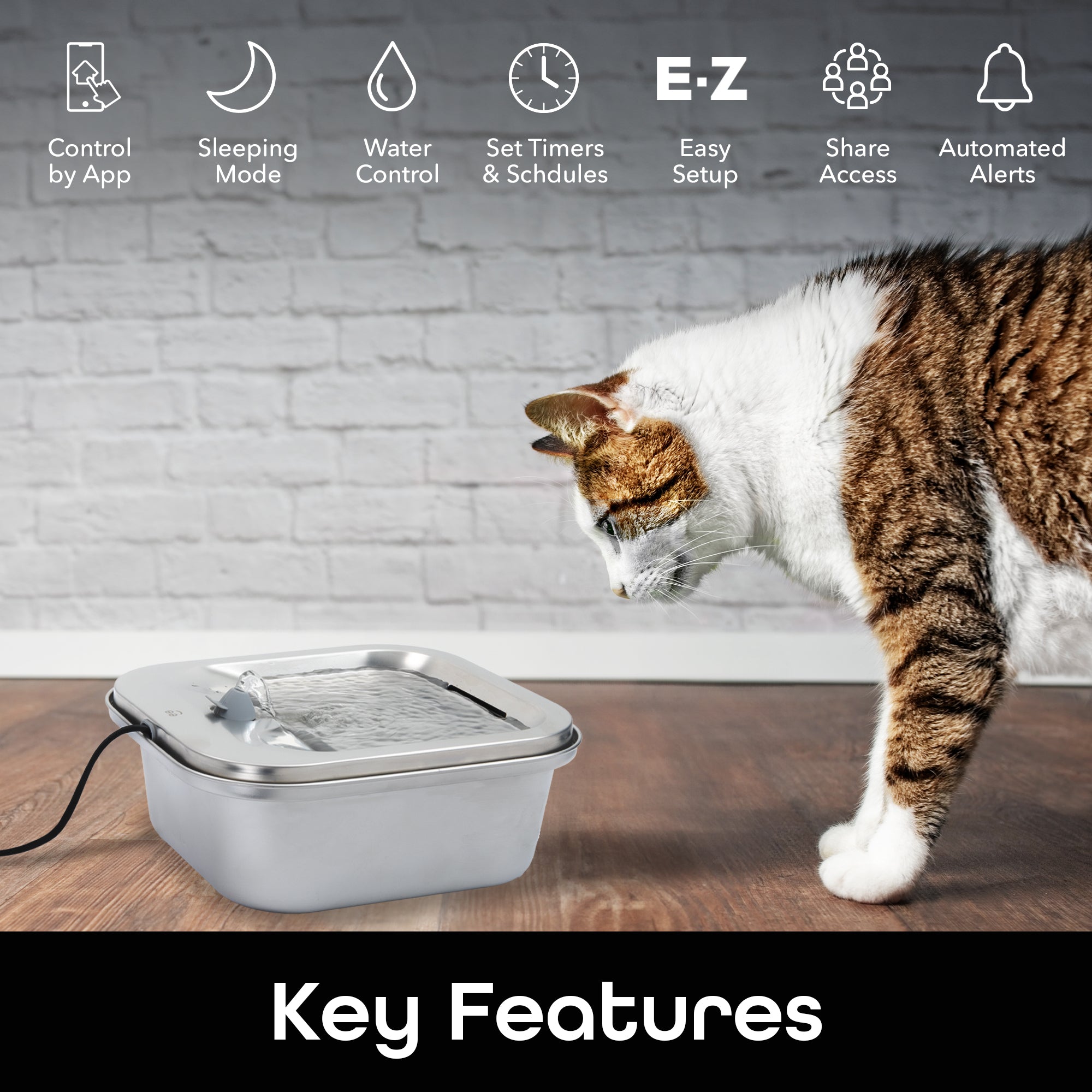 An application scenario or product detail of cat water bowl with filter - Image 12