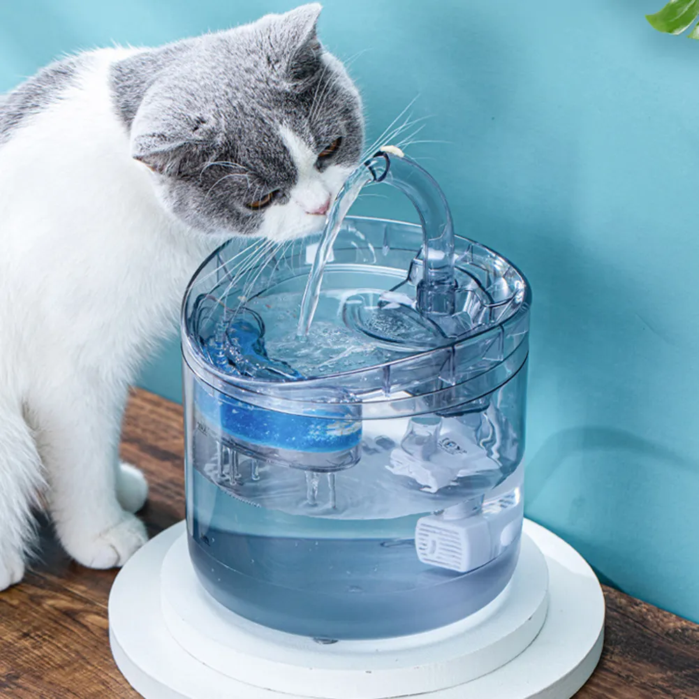 An application scenario or product detail of cat water bowl with filter - Image 13