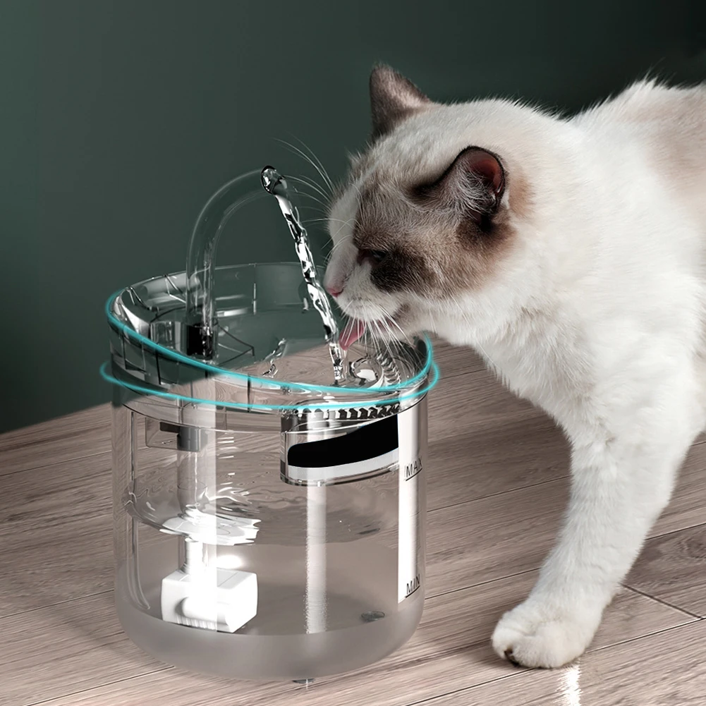An application scenario or product detail of cat water bowl with filter - Image 15