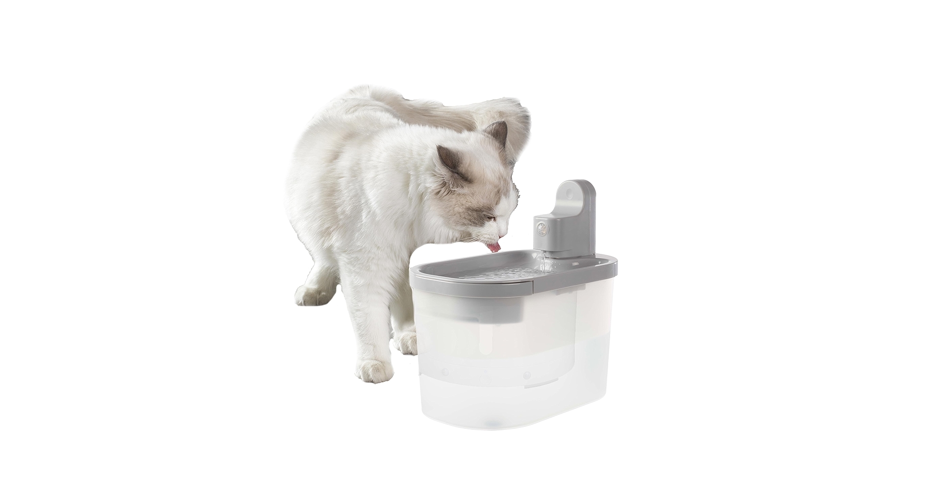 An application scenario or product detail of cat water fountain for drinking - Image 7
