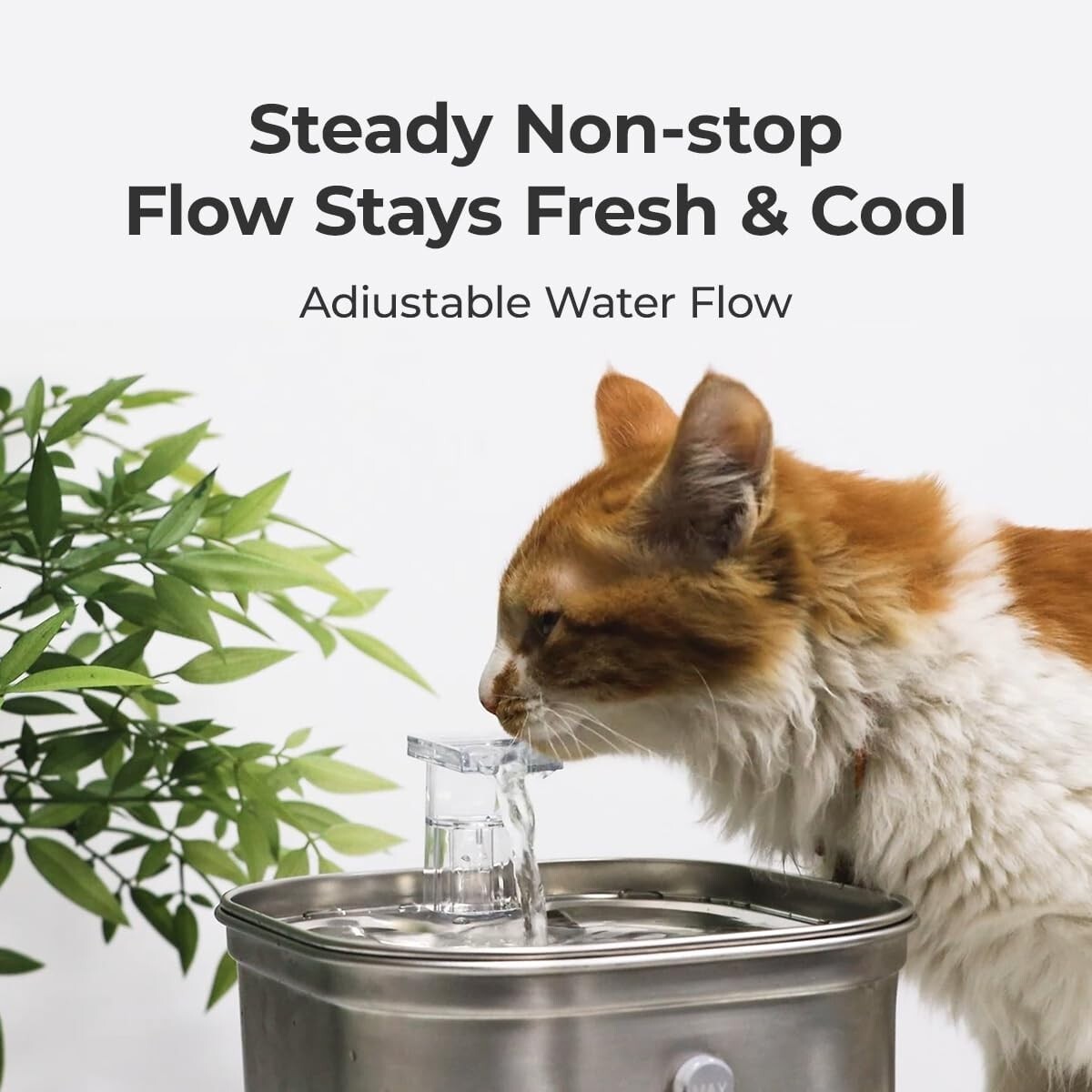 An application scenario or product detail of cat water fountain for drinking - Image 21