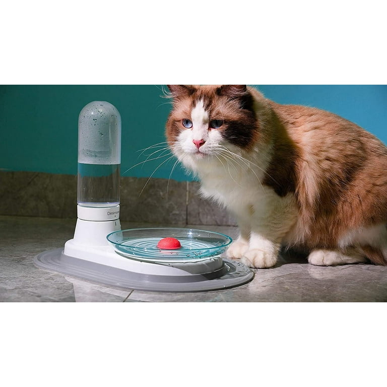 An application scenario or product detail of cat water fountain no filter - Image 15