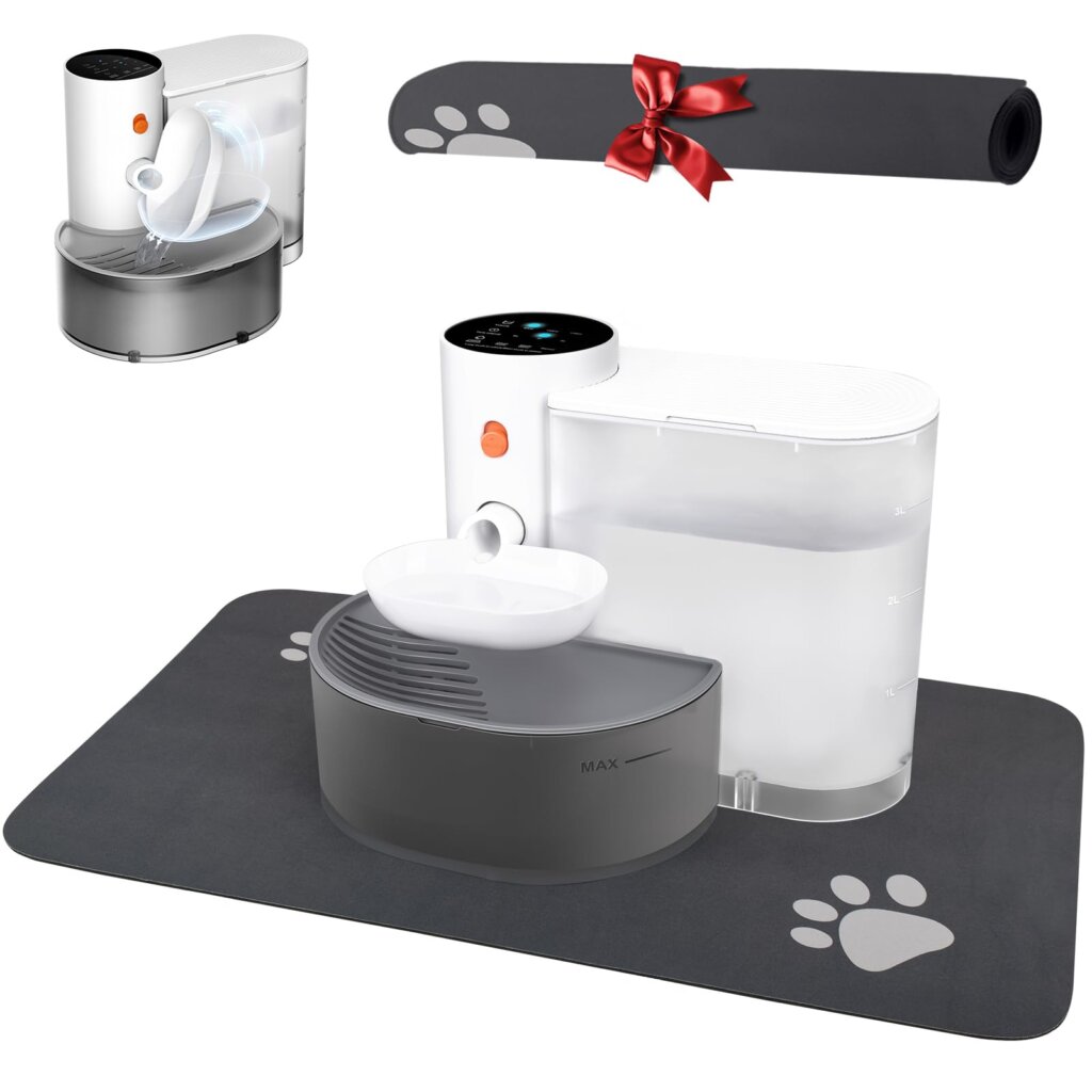 Featured image for the cat water fountain no filter guide