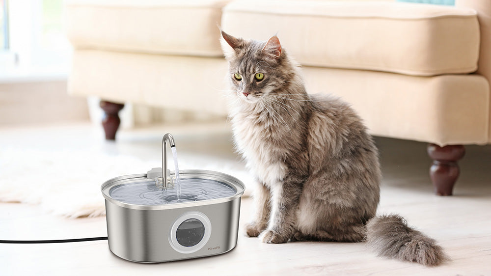 An application scenario or product detail of cat water fountain outdoor - Image 10