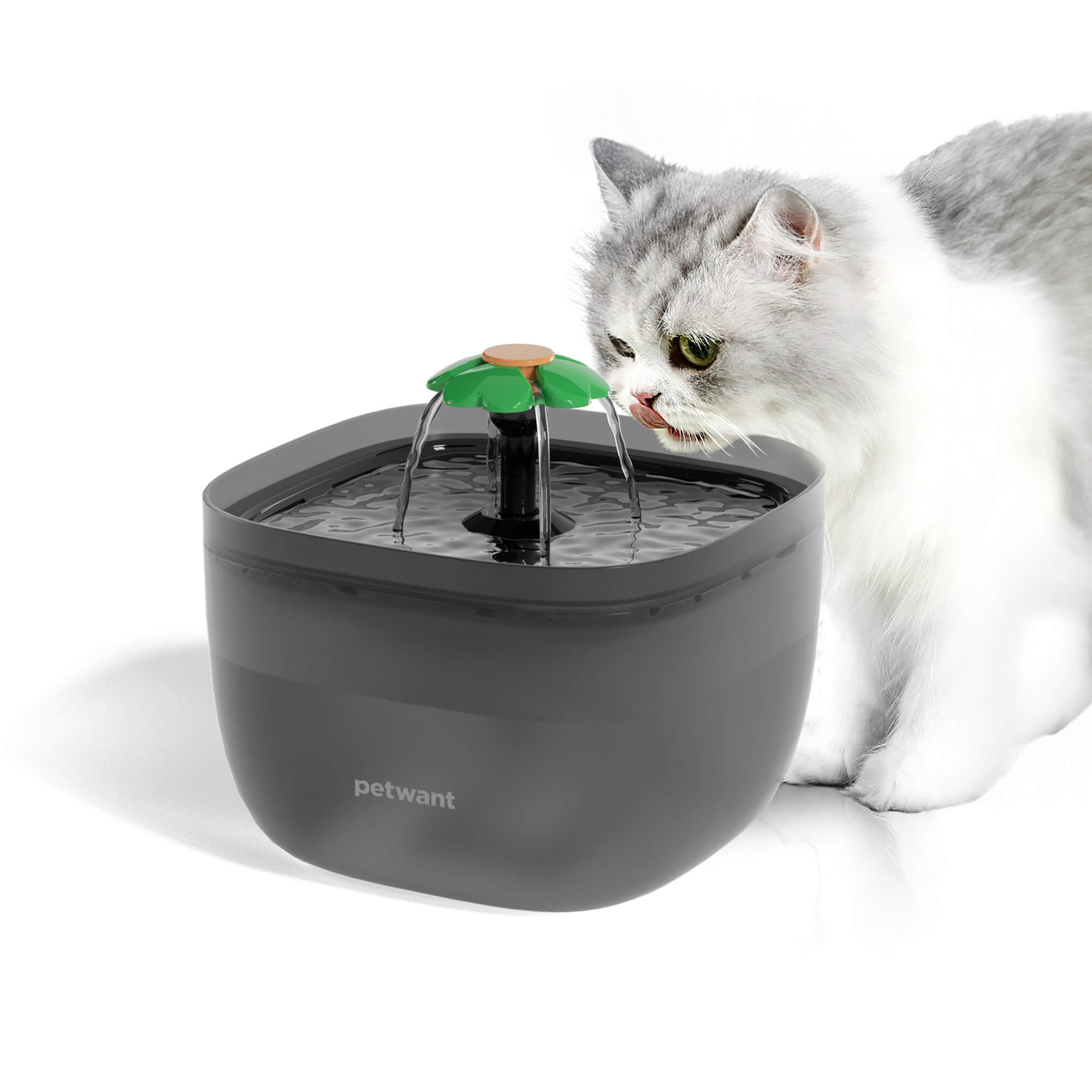 An application scenario or product detail of cat water fountain that doesn t get slimy - Image 21