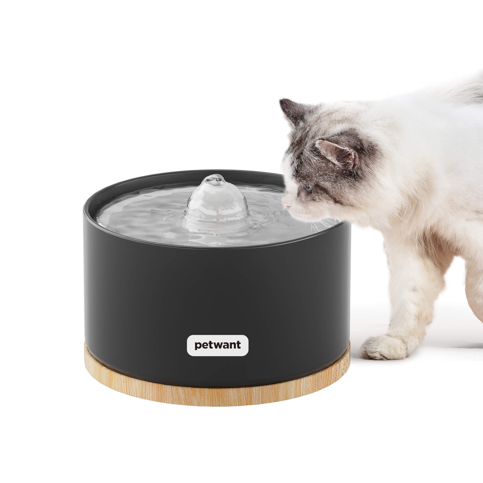 An application scenario or product detail of cat water fountain that doesn't get slimy - Image 21