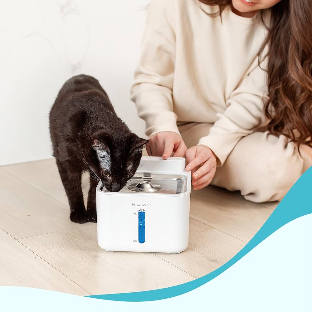 An application scenario or product detail of cat water fountain with uv light - Image 5