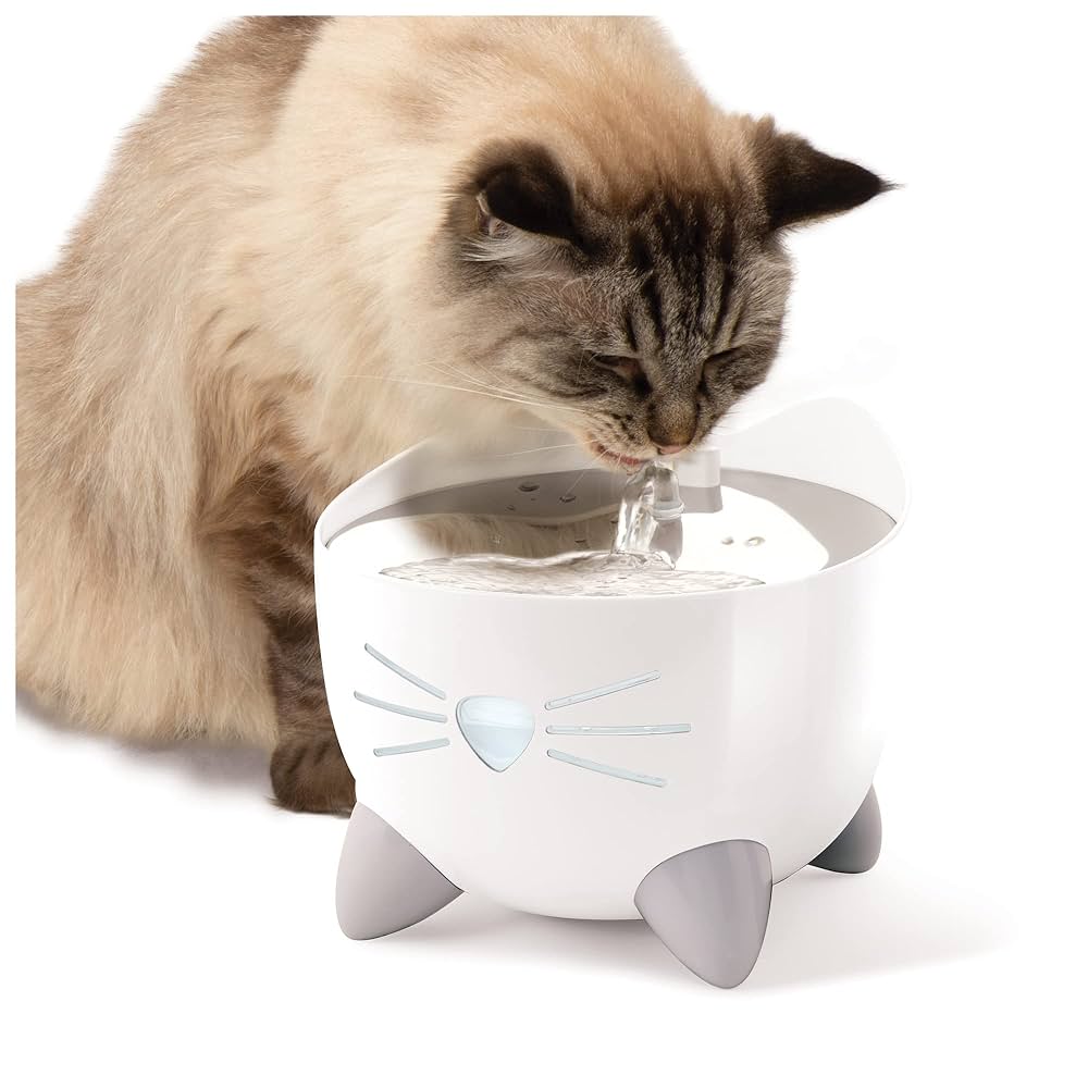 An application scenario or product detail of cat water fountain with uv light - Image 6