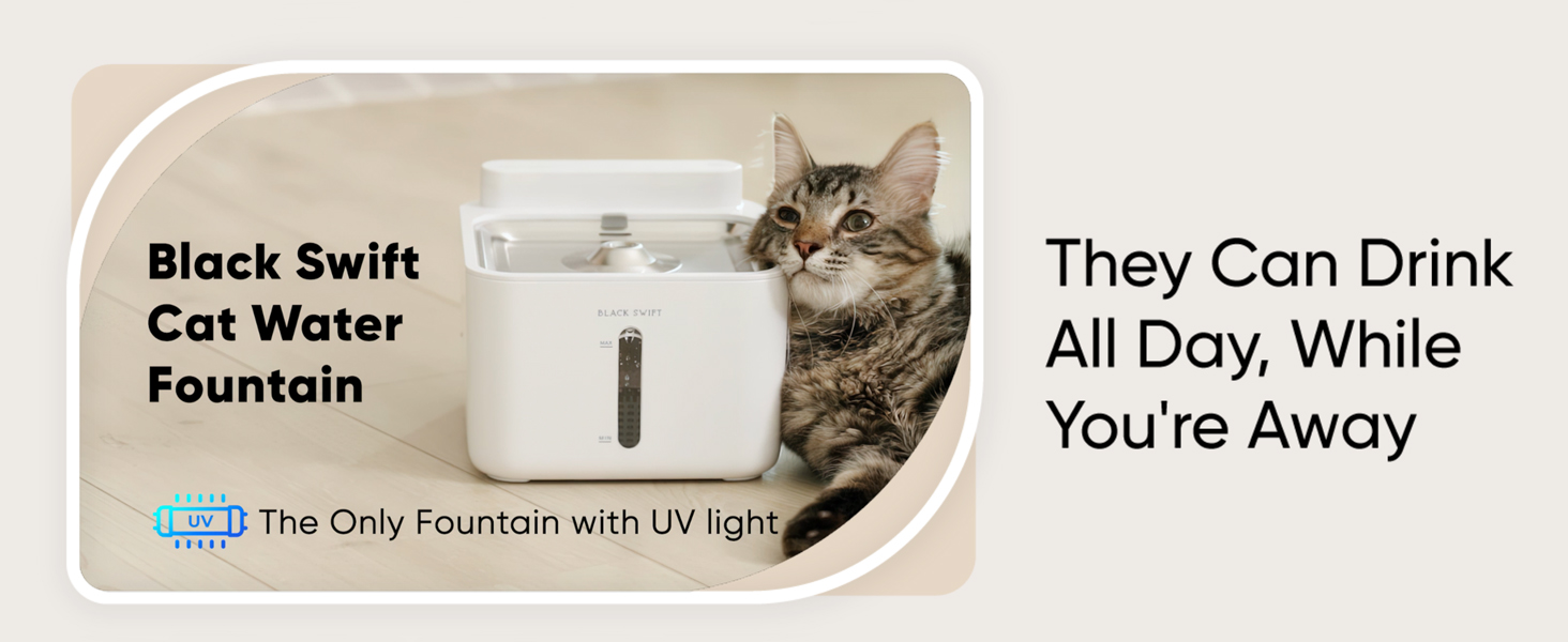 An application scenario or product detail of cat water fountain with uv light - Image 11