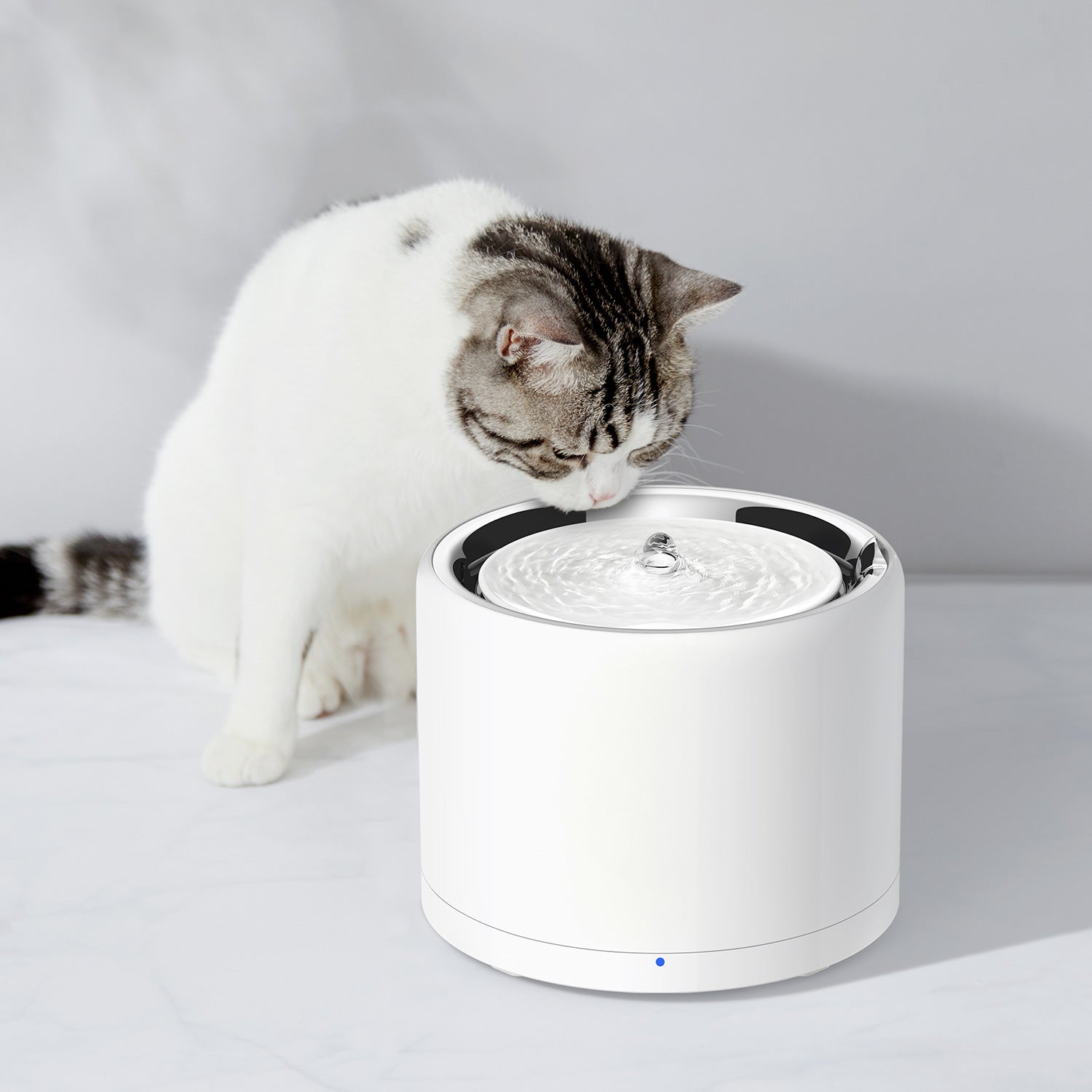 An application scenario or product detail of cat water fountain with uv light - Image 12