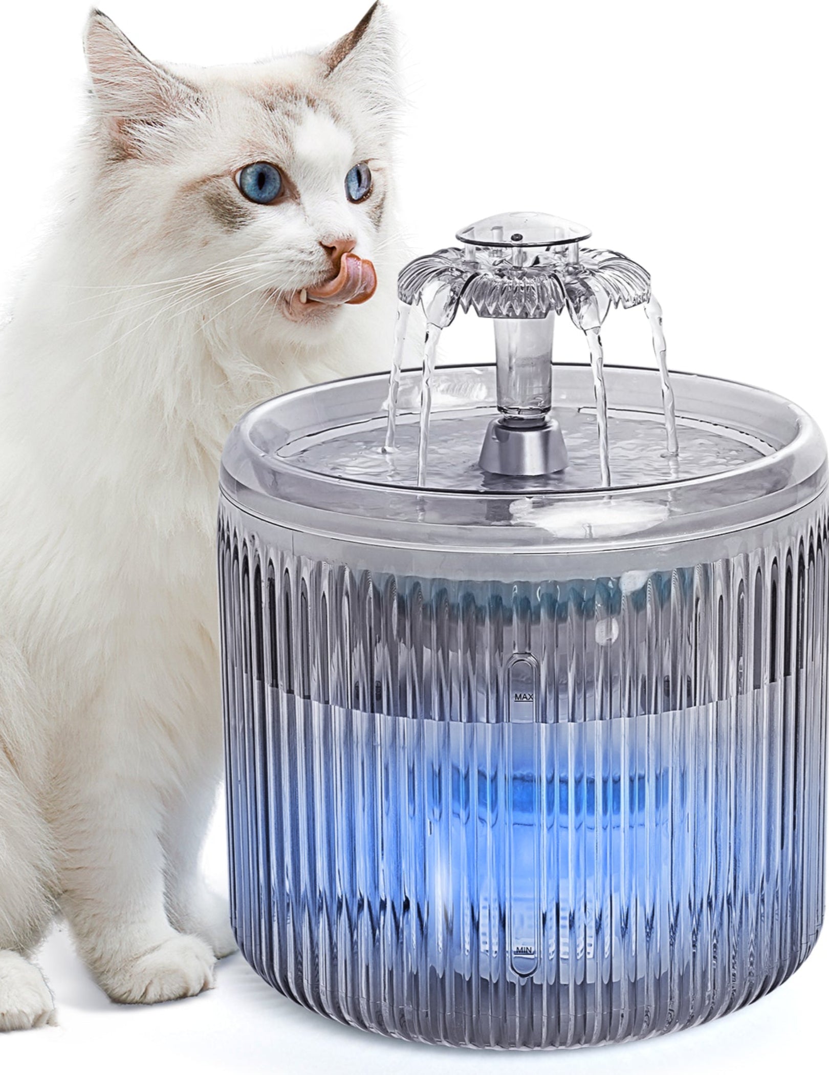 An application scenario or product detail of cat water fountain with uv light - Image 14