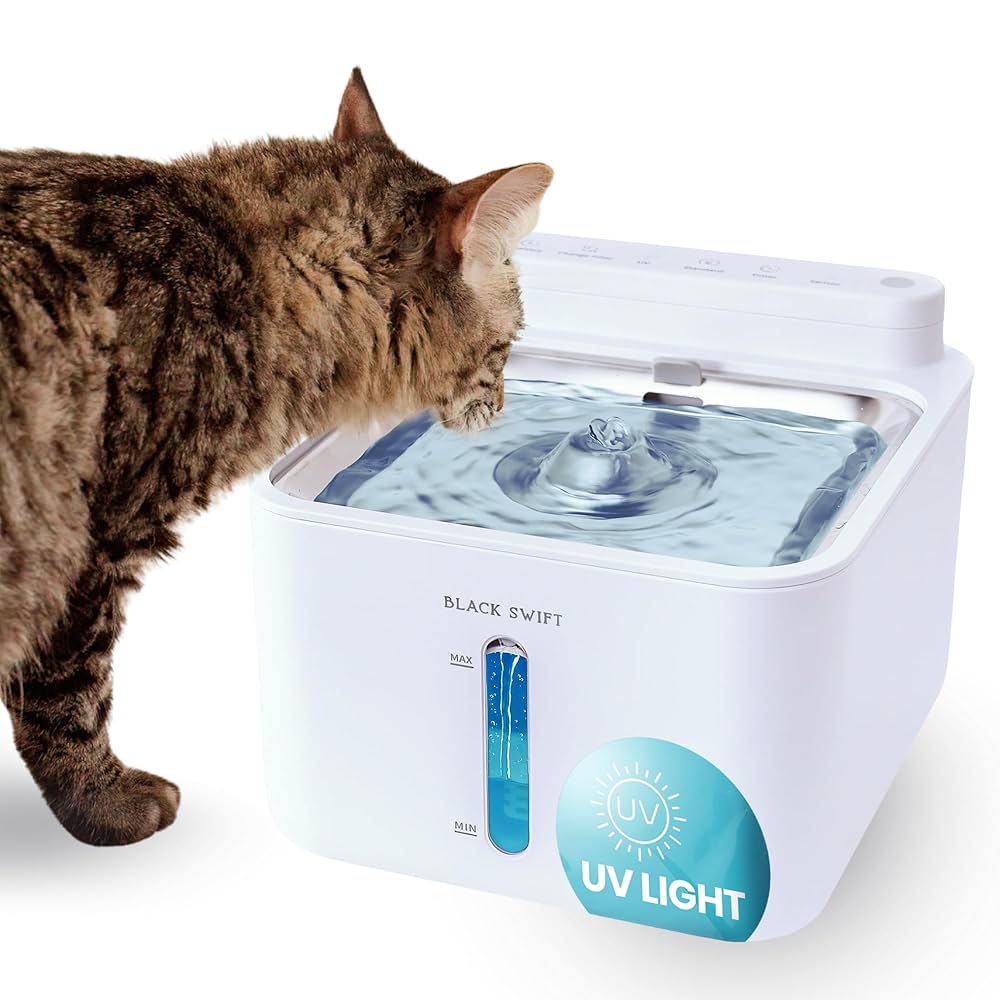 Featured image for the cat water fountain with uv light guide