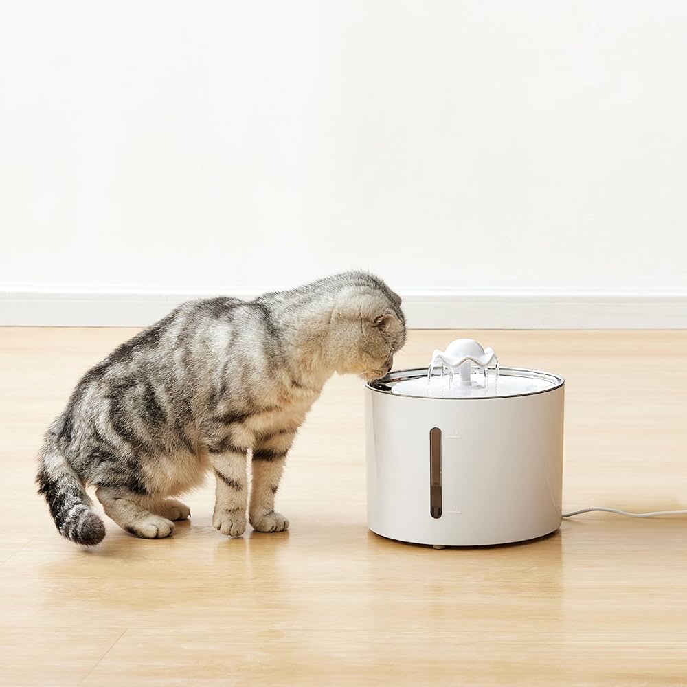 An application scenario or product detail of cat water fountains amazon - Image 14