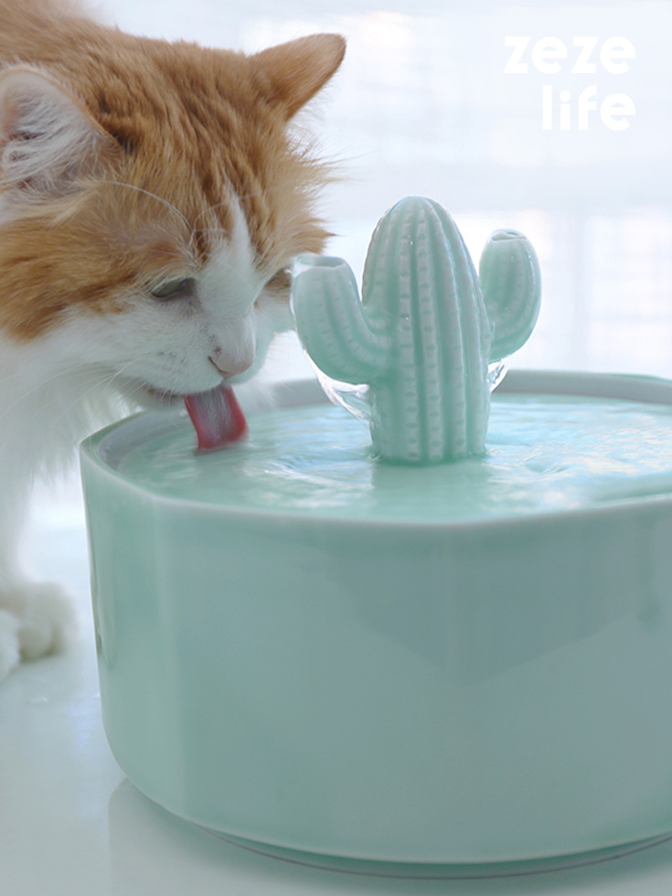 An application scenario or product detail of cat water fountains ceramic - Image 7