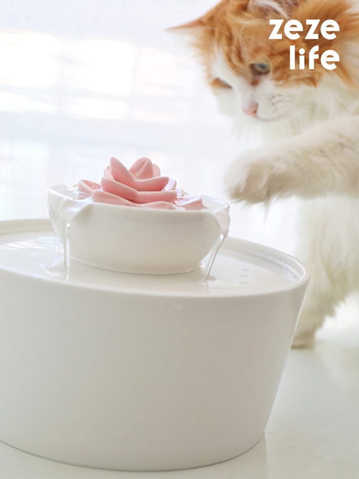 An application scenario or product detail of cat water fountains ceramic - Image 11