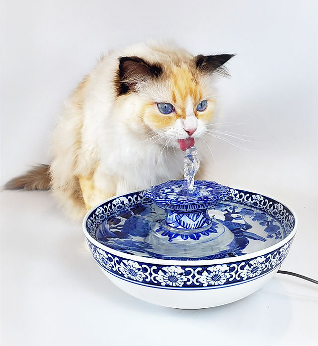 An application scenario or product detail of cat water fountains ceramic - Image 17