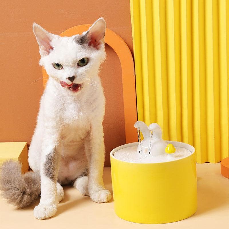 An application scenario or product detail of cat water fountains ceramic - Image 24